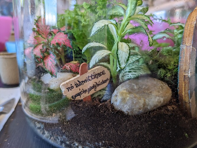 PXL_20220528_121445465