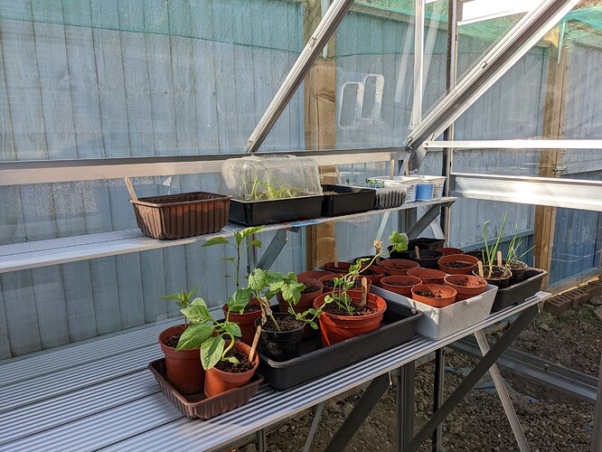 PXL_20220326_150214791