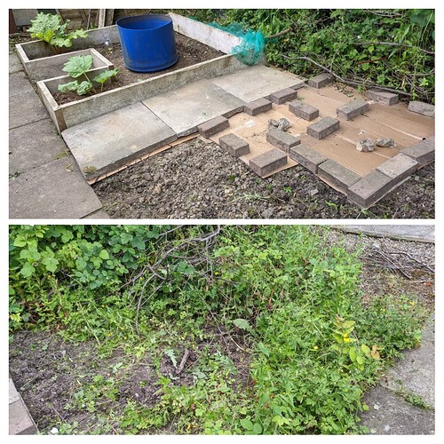 20220612_203245-COLLAGE