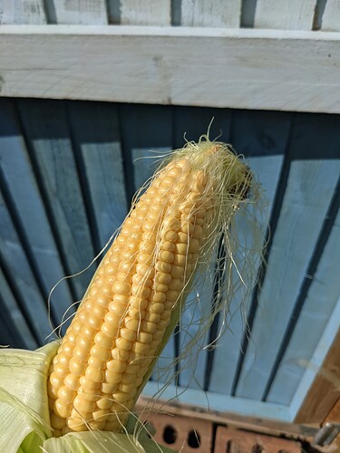 PXL_20210915_114953501