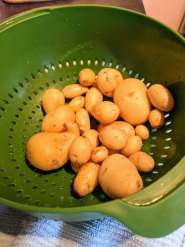 PXL_20220116_150047344