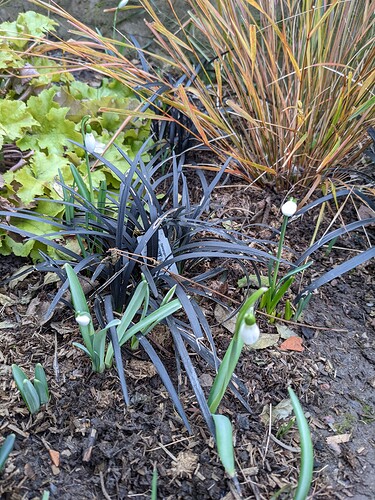 PXL_20220123_100822556