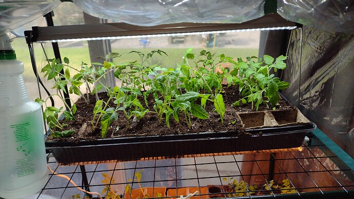 IMG_20220422_160716813