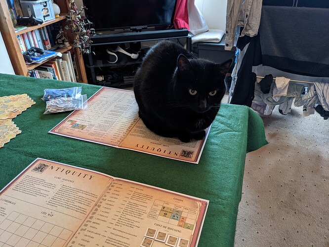 PXL_20211031_153113489