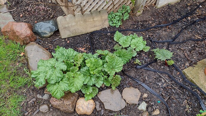 IMG_20220503_153147743_HDR