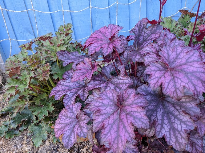 PXL_20220429_075551788