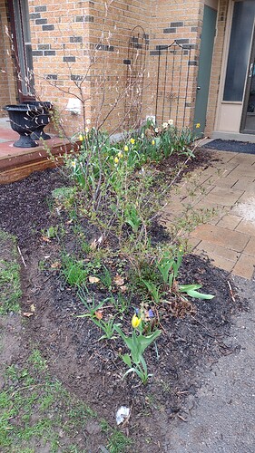 IMG_20220501_141819438