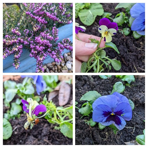 20220101_142901-COLLAGE