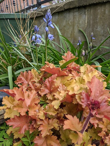 PXL_20220423_122313173