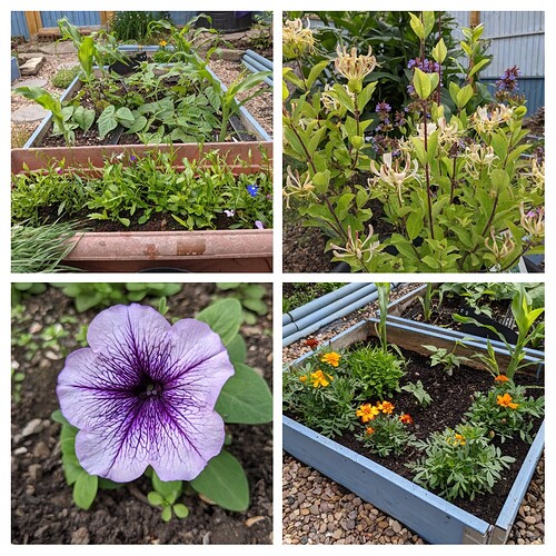 20210704_134424-COLLAGE