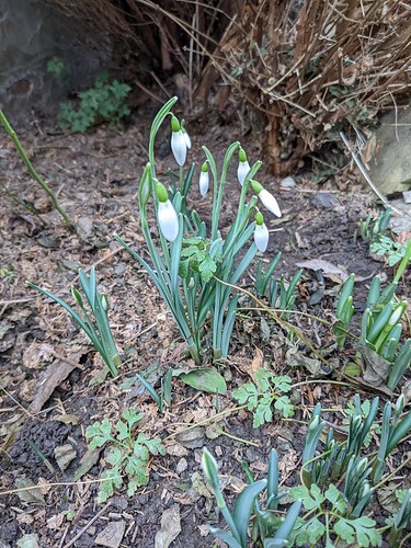 PXL_20220123_100826641.MP