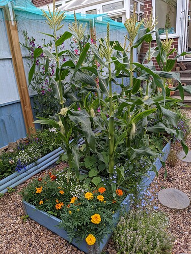 PXL_20210809_185317306