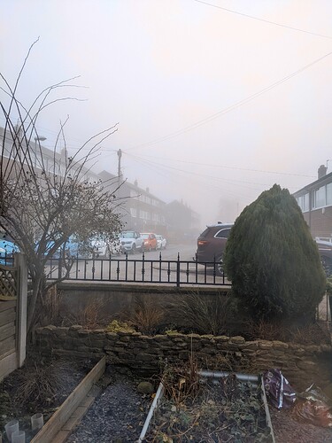 PXL_20220115_083805463.MP~2