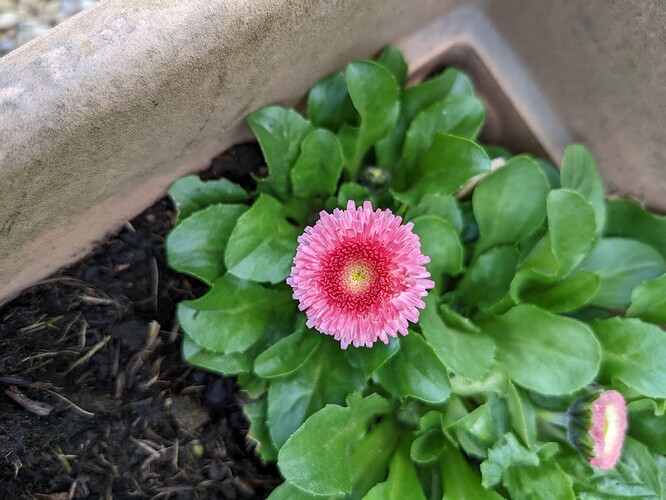 PXL_20220326_151107484