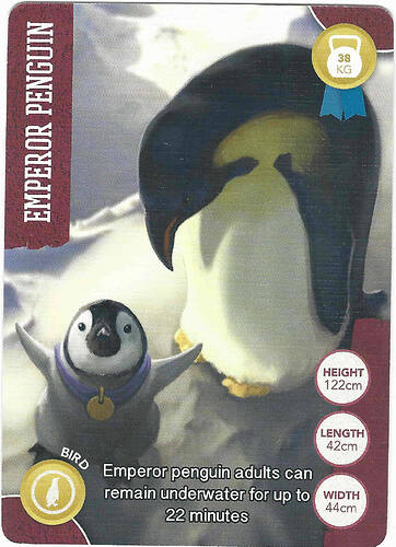 b-emperor_penguin