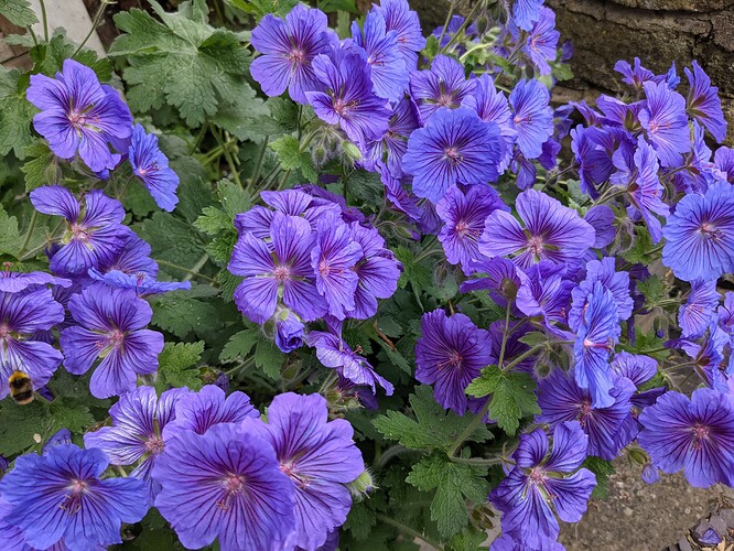 PXL_20210613_131656636