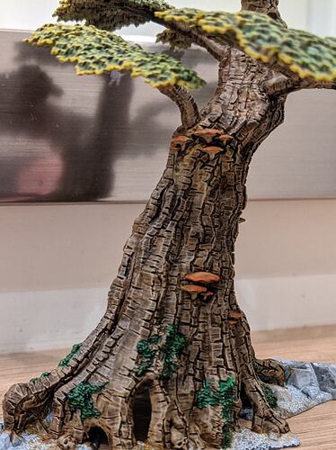 PXL_20211012_051808483_resize_12