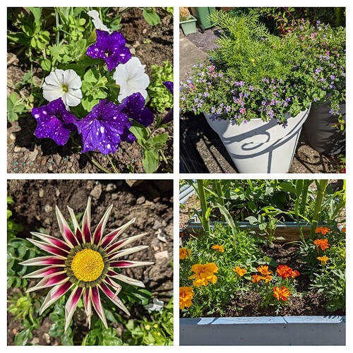 20210717_124855-COLLAGE