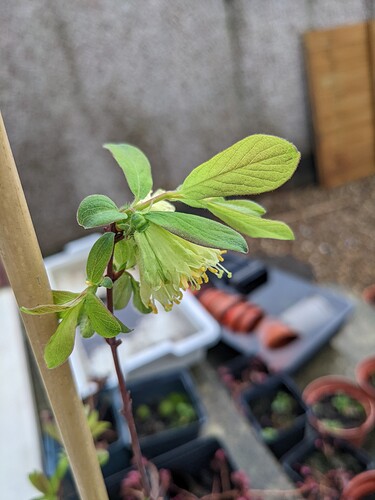 PXL_20220304_161110902.MP