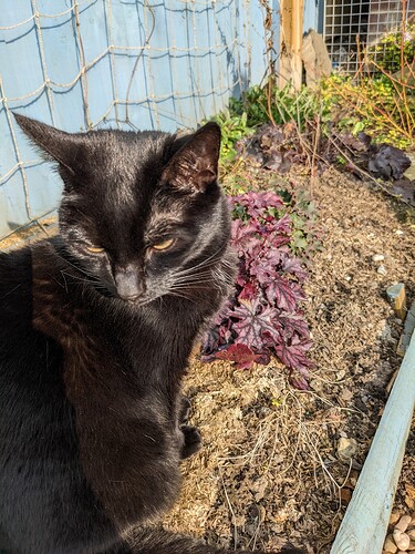 PXL_20220326_151251581