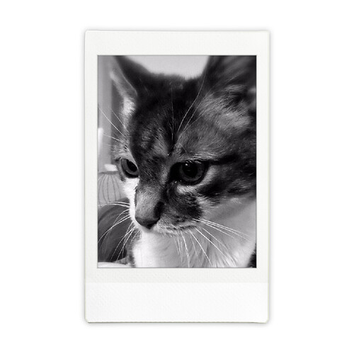INSTAX0481cb58-4fc6-