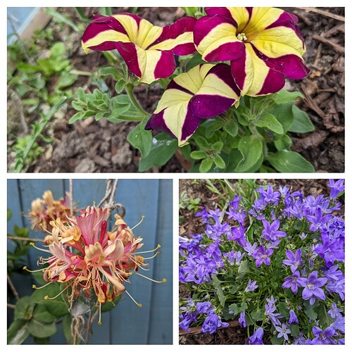 20220612_203326-COLLAGE