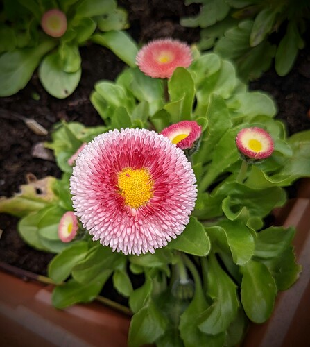 PXL_20220410_133005013~2