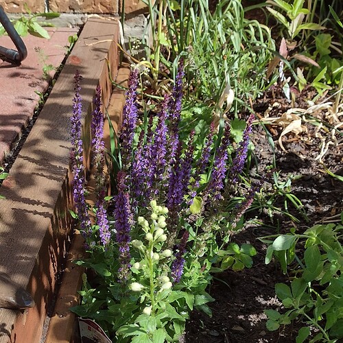 IMG_20220605_125804_512