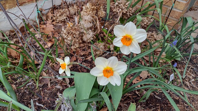 IMG_20220425_085203903_HDR