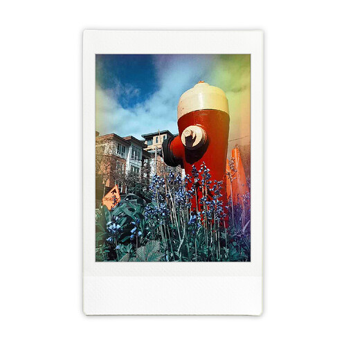 INSTAX6ed375eb-df27-