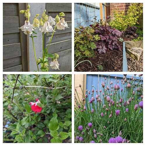 20220521_070203-COLLAGE