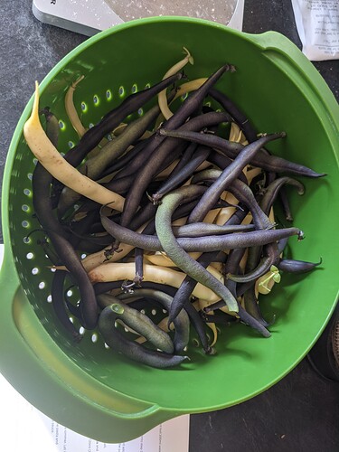 PXL_20210810_170532958