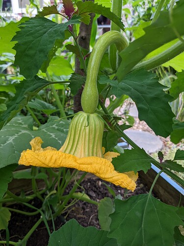 PXL_20220715_075814862