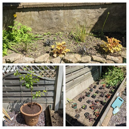 20210601_071157-COLLAGE