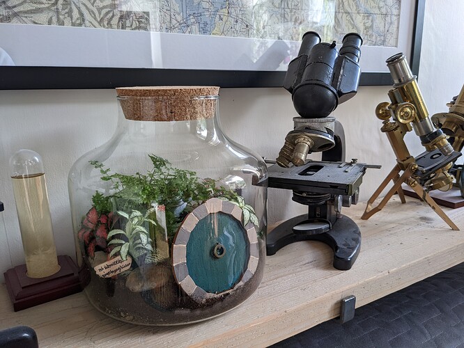 PXL_20220528_170213121