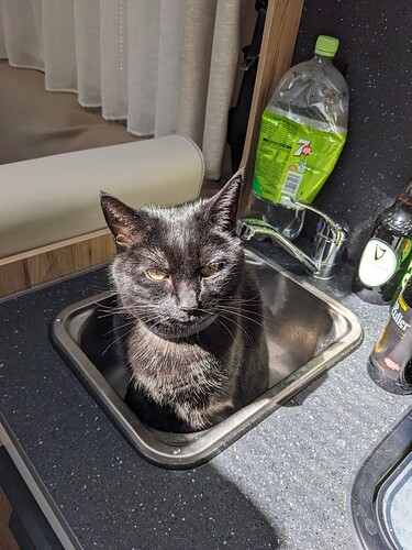 PXL_20240525_135206175