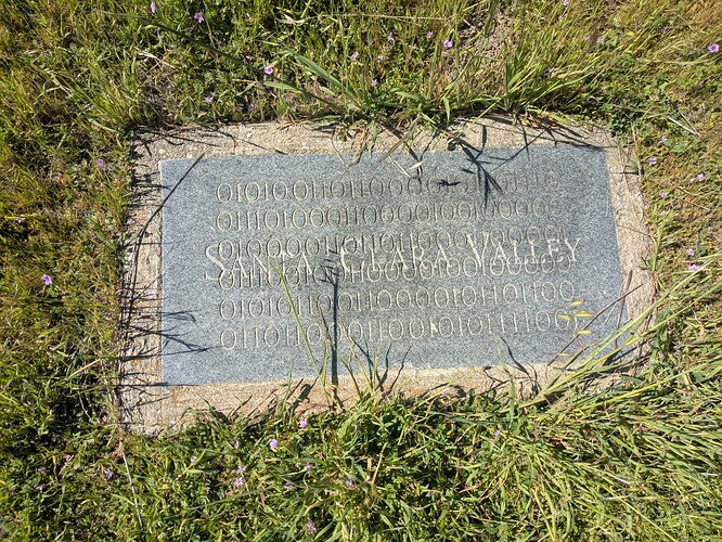 PXL_20250324_181932621