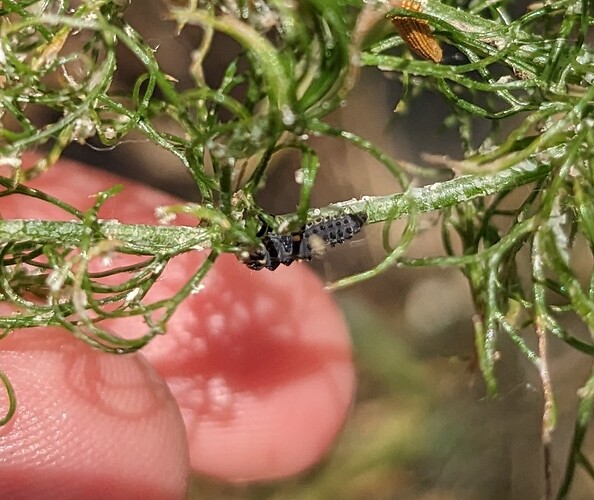 PXL_20230616_142602792