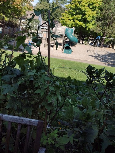 IMG_20220919_120838076