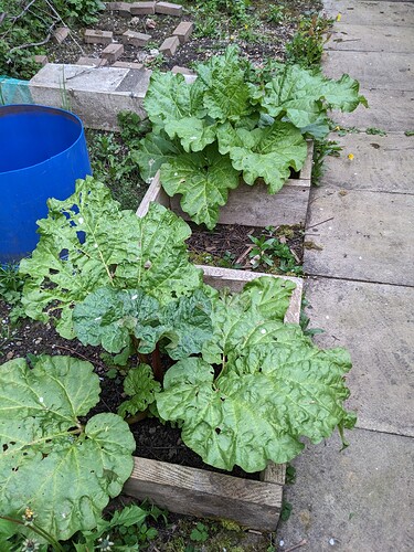 PXL_20230501_183705456