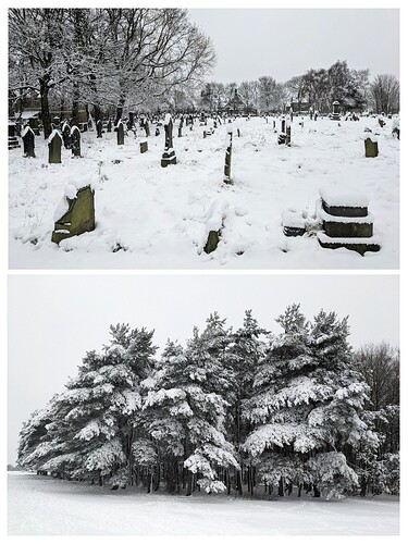 20250105_120903-COLLAGE