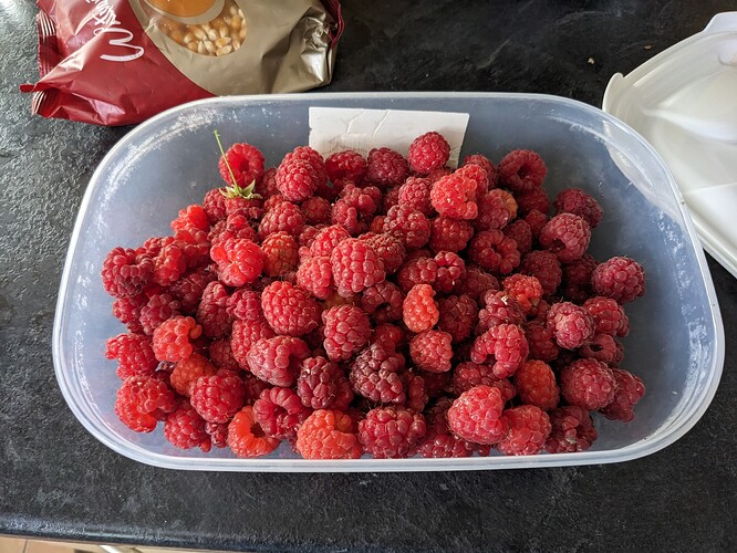 PXL_20240712_084759824