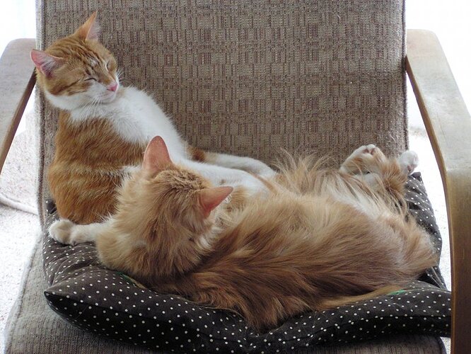 Walter-and-Westley