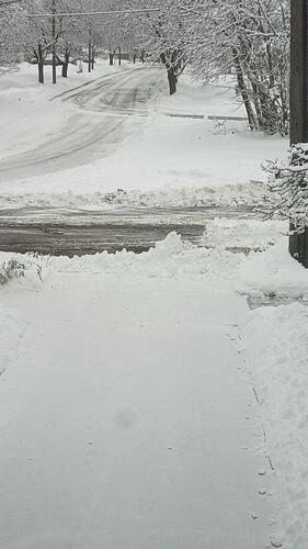 signal-2025-12-10-09-43-52-546