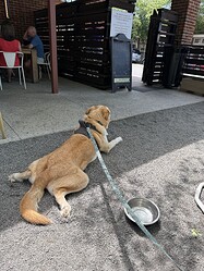 IMG_9139