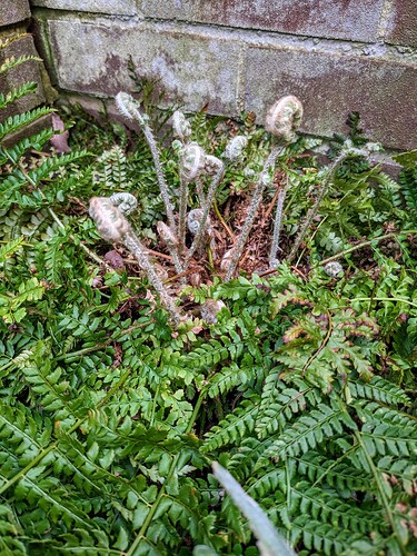 PXL_20230409_122914575