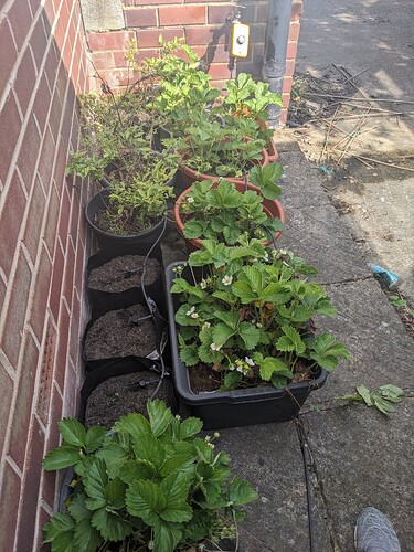 PXL_20230529_151802230