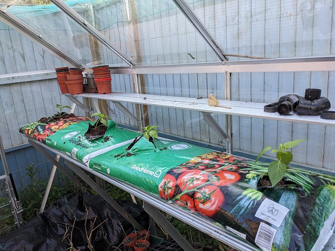 PXL_20230513_175201646