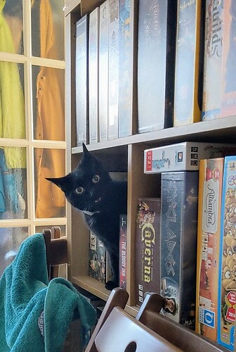 PXL_20241113_131849549_exported_9869~2