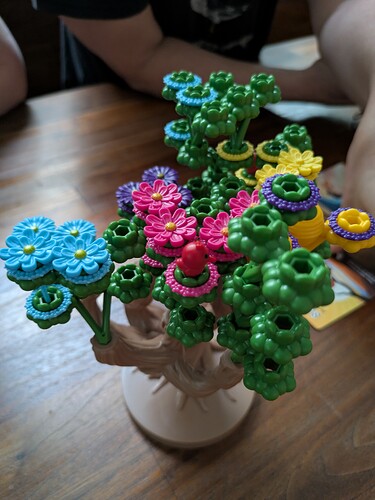 PXL_20250601_150631765